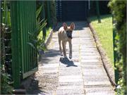 06) Duffy Tag1 im Garten